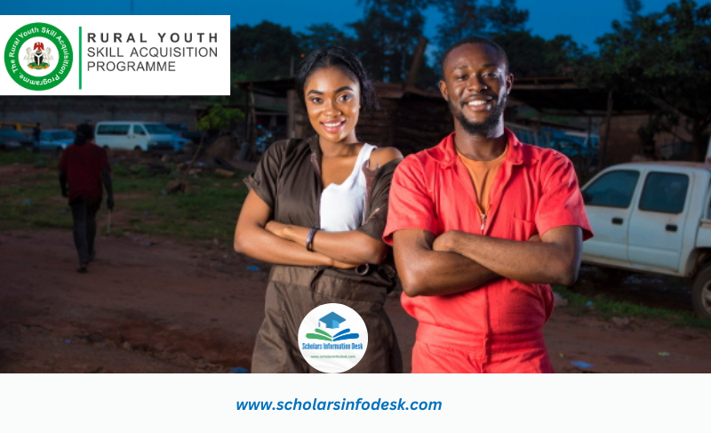 Nigerian Youth Empowerment | Rural Youth Skill Acquisition Program