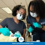 $70k Torch Dental Scholarship Award