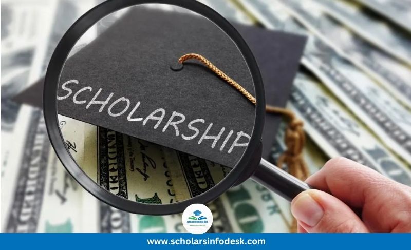 Scholarships Finder | Best Websites for Study Abroad Opportunities